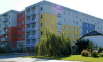 Singles forst lausitz